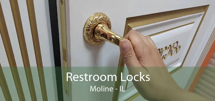 Restroom Locks Moline - IL